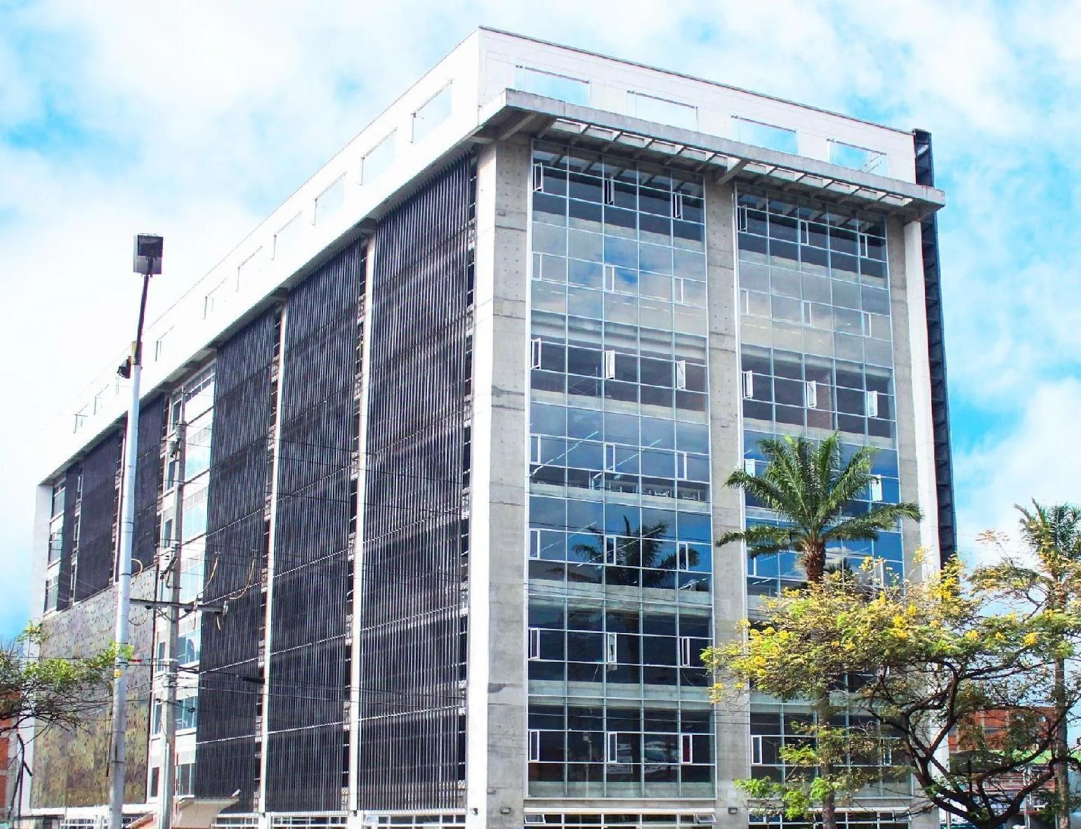 Fachada del edificio de nueve pisos con paneles de vidrio y persianas verticales, palmera al frente y cielo despejado.